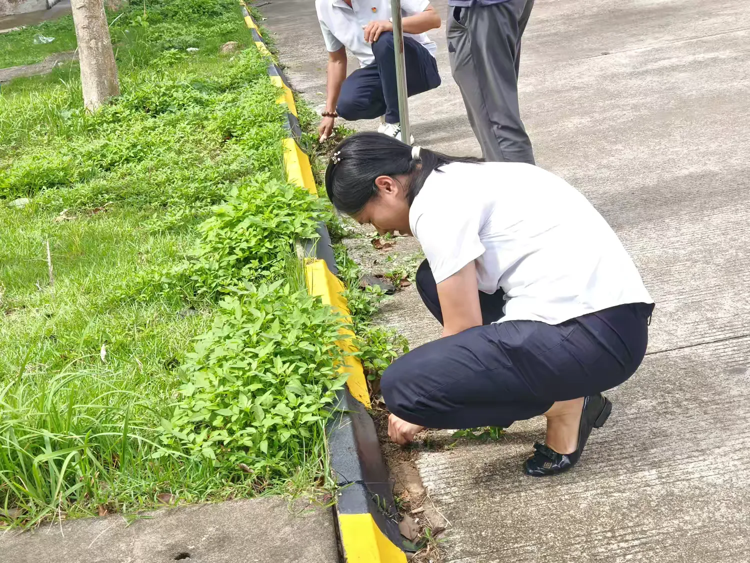 简篇-中共海南吉羽物业服务有限公司联合总支委员会开展“七一”主题系列活动