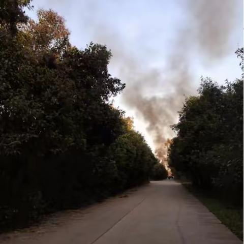 三治融合   网格+综合执法+消防  联合灭火除隐患