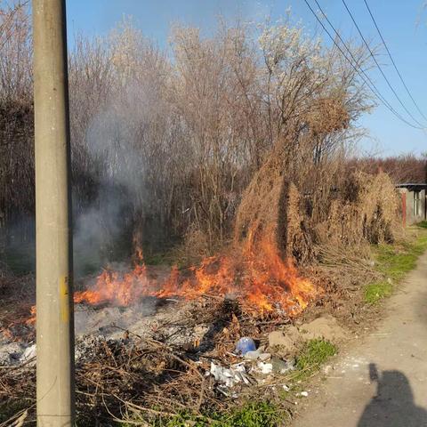 网格员+村委+志愿群众奋力救火 真情心系百姓安危