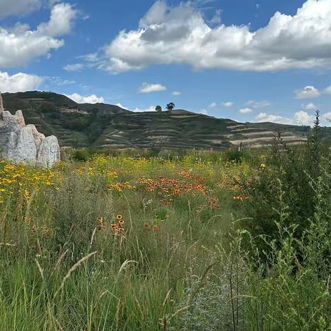 相约兰州      畅游甘南