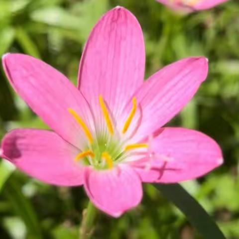 一场风雨一场花开