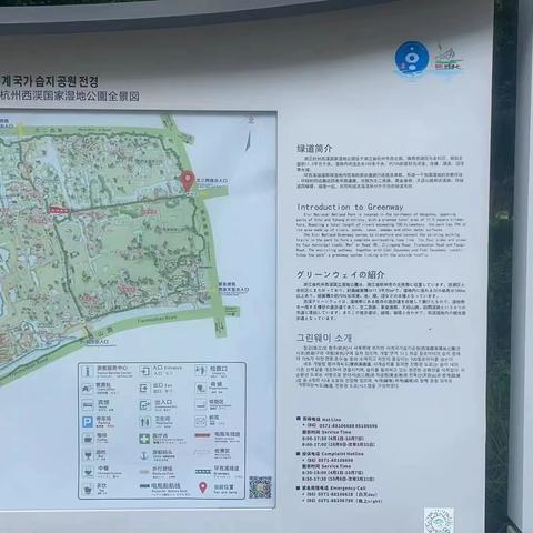 寻红色记忆，筑青春之梦，重走习爷爷西溪之路一一杭海路小学403班筑梦中队