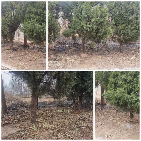 老兵作风时常在， 不畏艰险冲在前！