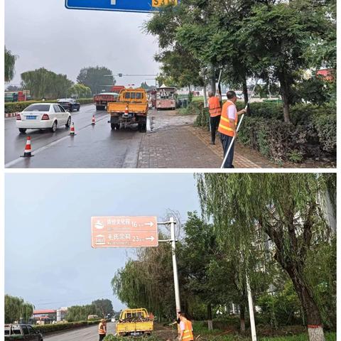 剪除路树隐患，靓化公路景观