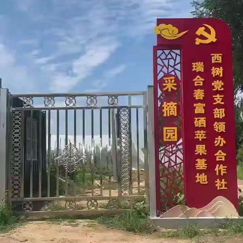 峡山区西树村瑞合春果蔬种植专业合作社。咨询电话：138 6360 1259