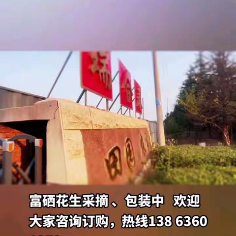 峡山瑞合春果蔬种植专业合作社​富硒紫薯种植示范基地​订购热线：13863601259