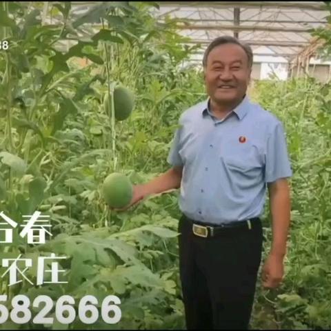 峡山瑞合春田园农庄