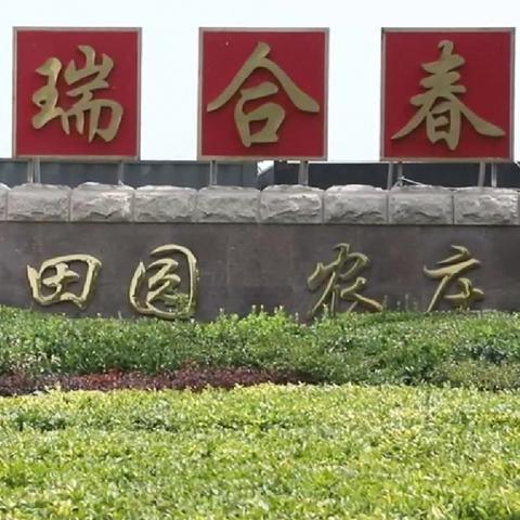 九九重阳节 ▏瑞合春田园农庄邀您共赏秋韵，共度佳节。 16522582666 （60周岁以上老人凭身份证入园、购买产品，均享半价优惠）