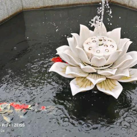 思念永存，春晖难忘——慈母二周年祭