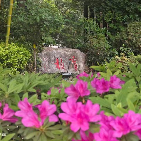 智引未来，筑梦成长——高校专家进校园科普活动纪实