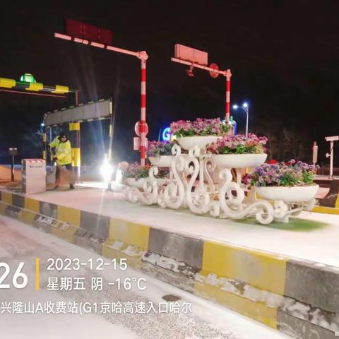 雪后兴隆