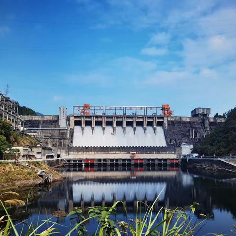 红领巾追随足迹*探秘《新安江水电站》一月亮湾小学201班李佳诺