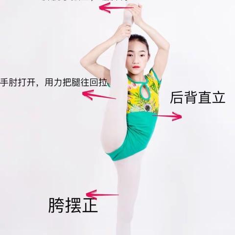 绿地1班秋季教学计划