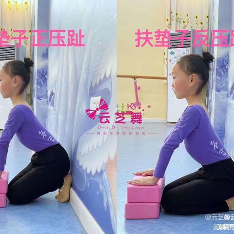 绿地3班秋季教学计划