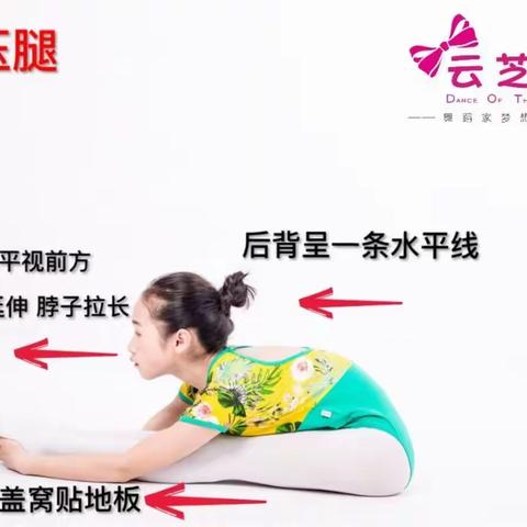 作业  3