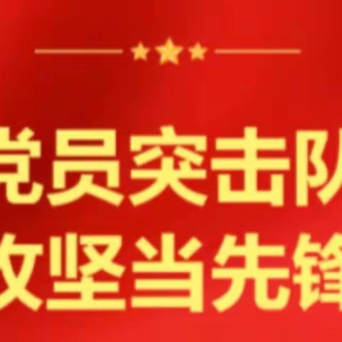 汉口分公司党支部开展“暑运攻坚当先锋”主题党日活动