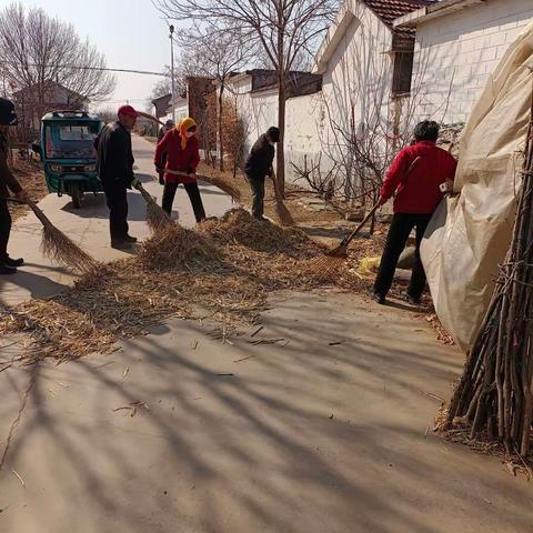 开展全民环境卫生清理共创美好家园