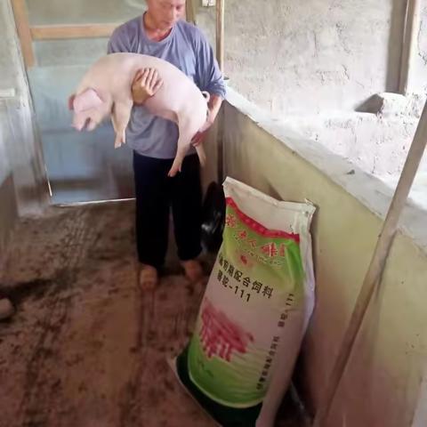 马到功成的简篇