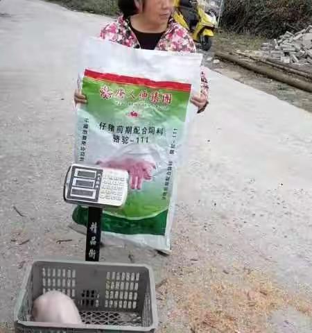 武汉骆驼饲料很好