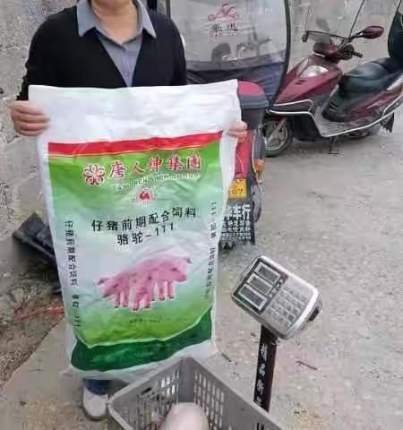 武汉骆驼饲料很好