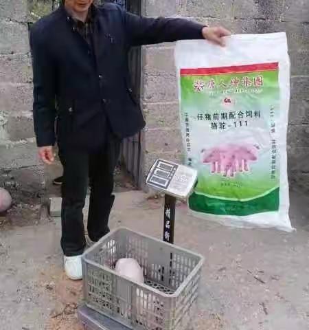 马到功成的简篇