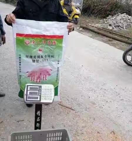 马到功成的简篇