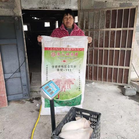 马到功成的简篇