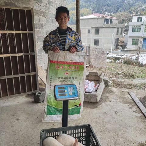 马到功成的简篇