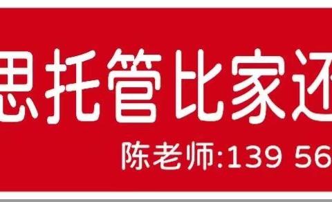 学乐思暑假7天6夜 军事夏令营招募令