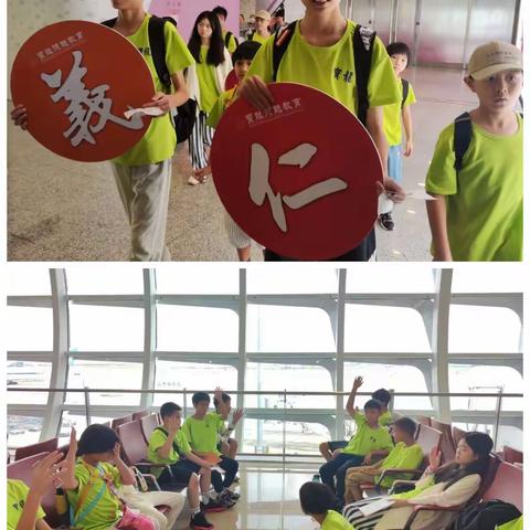 宝龙德能教育研学之旅: 武当山神龙架