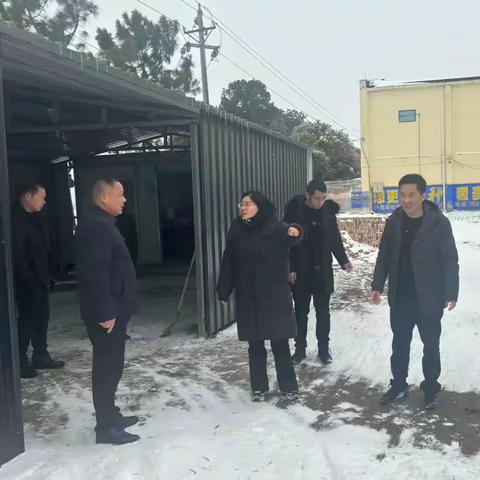 襄城县：应对寒潮天气  全力做好农业生产服务保障