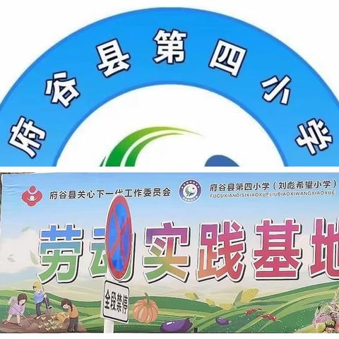 府谷县第四小学四（2）班暑期劳动教育实践活动