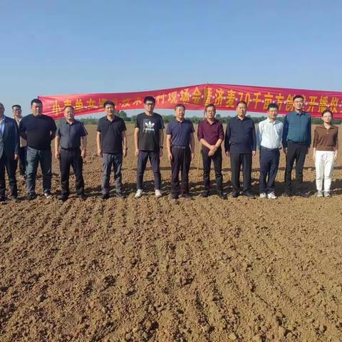 小麦单产提升技术周村现场会暨济麦70千亩方创建开播仪式举行
