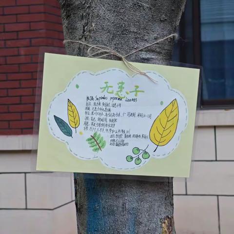 【课题动态19】给植物“挂牌”，让自然“说话”