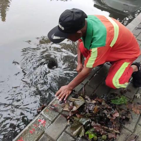 汛期雨幕下的那抹亮色