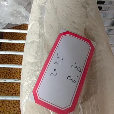 友谊路特警已改正