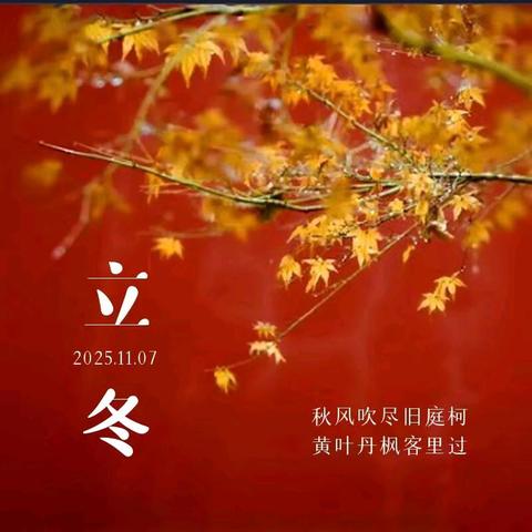 阳光洒满成长路 天天向上系列（12） ﻿一一与秋作别，在冬日里蓄力前行