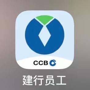 东宁支行环境美化日