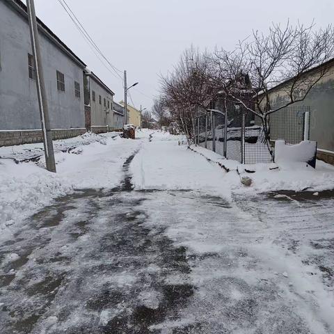 铲雪除冰在行动