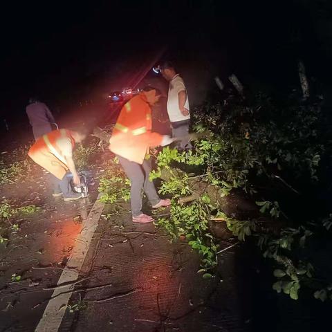 暴雨致树倒伏公路 双牌公路养护人员深夜紧急清理保畅通