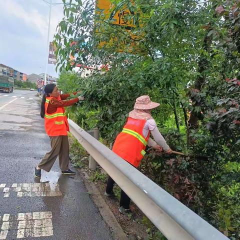 双牌公路建设养护中心修剪遮挡树枝，让标志标牌“露脸”