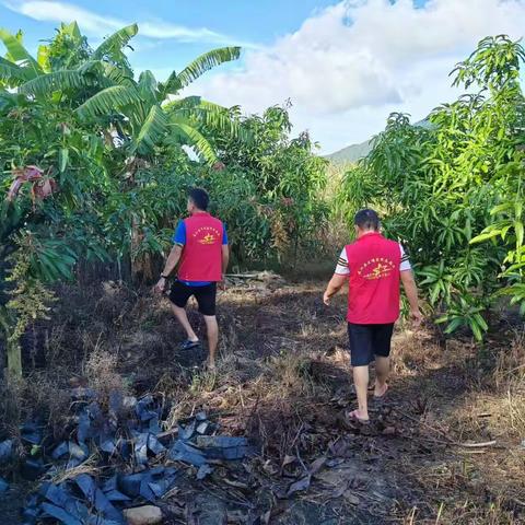 五丰村开展秸秆禁烧宣传工作