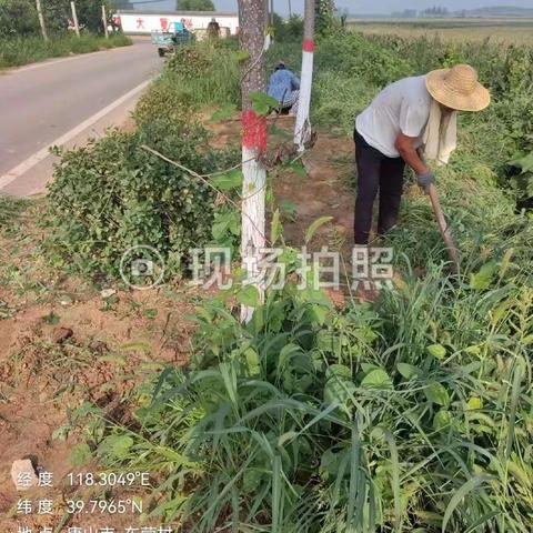 榛子镇：持续开展沿线村庄卫生整治行动，共建宜居和美乡村（第六期）