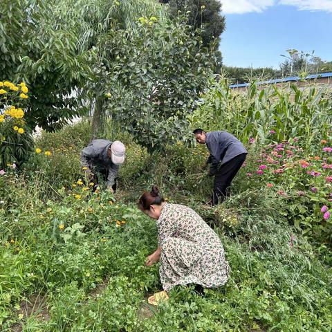 除草护绿·美化家园