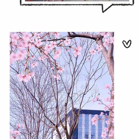 最美执勤守护，助力校园安全。