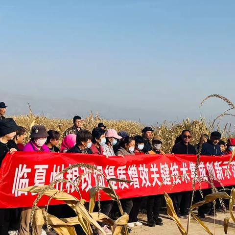 【“三抓三促”进行时】临夏州农业技术推广服务中心在东乡县河滩镇祁杨村开展“临夏州粮改饲提质增效关键技术集成创新示范”项目培训