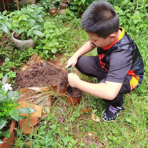 ☀杨梓轩  一（2班）☀