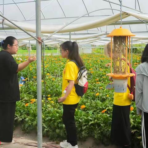 花果飘香富长校，集思广益助振兴