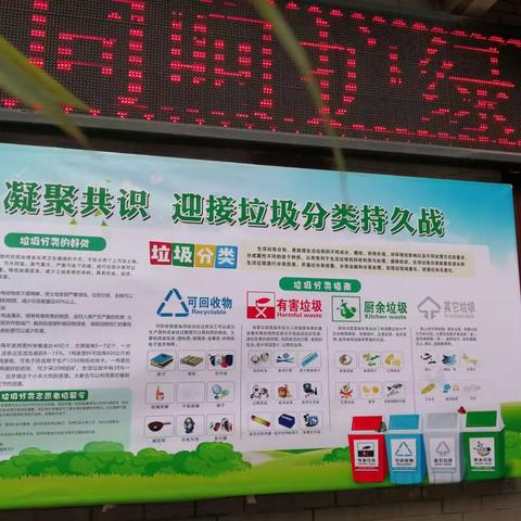 垃圾分类实践活动