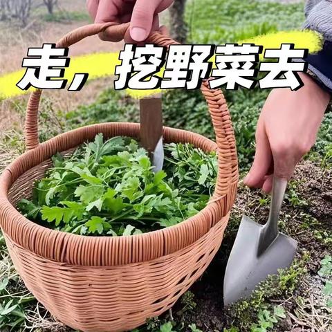 10月6号神堂峪木栈道徒步＋挖红薯纯玩一日游